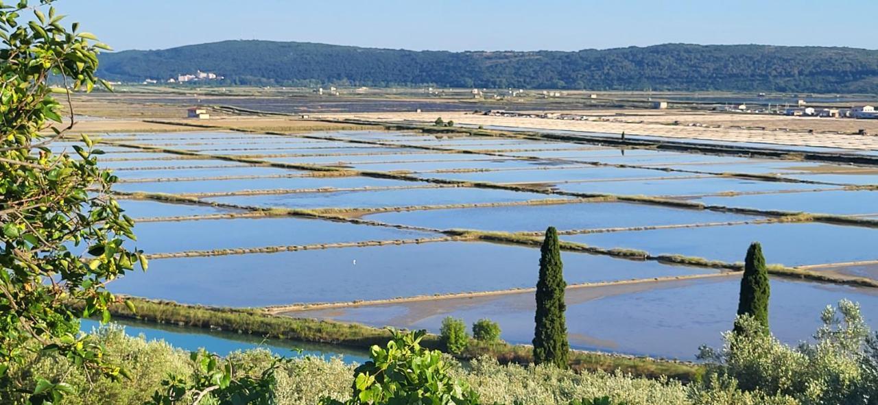 Apartment Salt Pans View Порторож Экстерьер фото