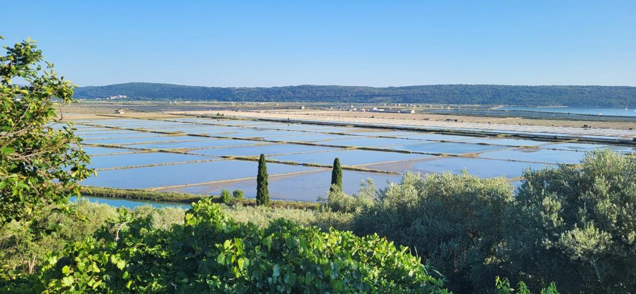 Apartment Salt Pans View Порторож Экстерьер фото