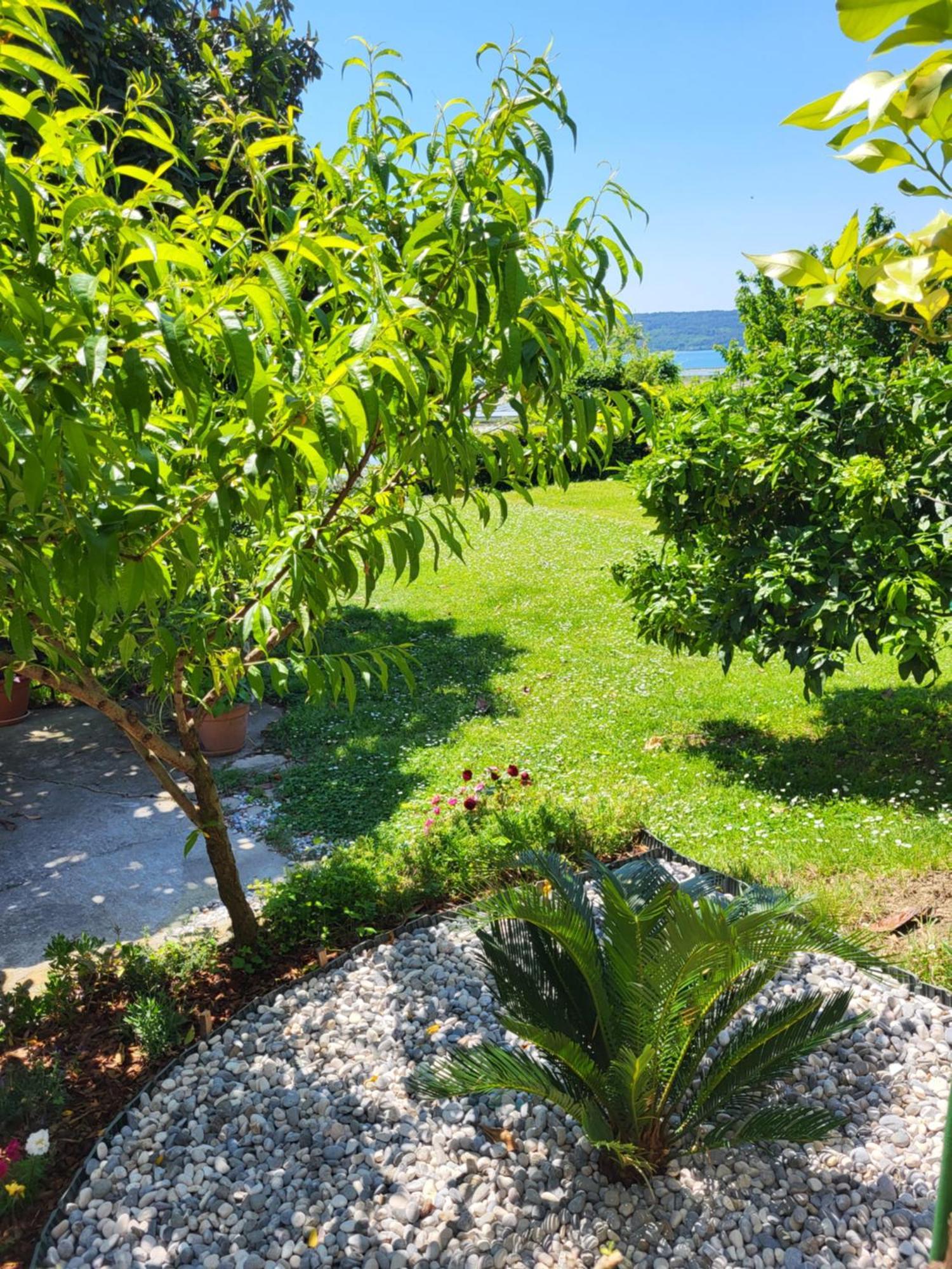 Apartment Salt Pans View Порторож Экстерьер фото